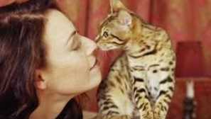 Jaký nos by měl mít zdravou kočku?